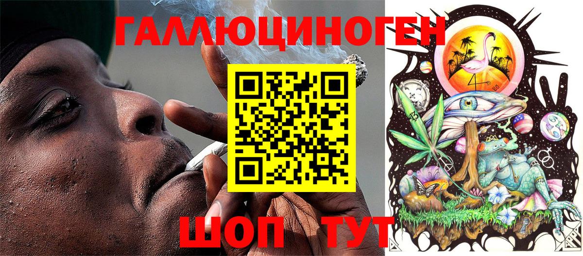 Елец  Галлюциногенные грибы Psilocybe  Вход с VPN 